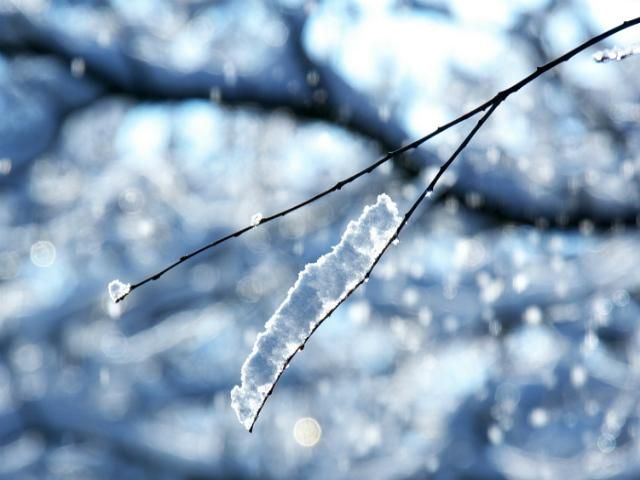 Сніг та морози прийдуть в Україну на Старий Новий рік Сніг та морози прийдуть в Україну на Старий Новий рік