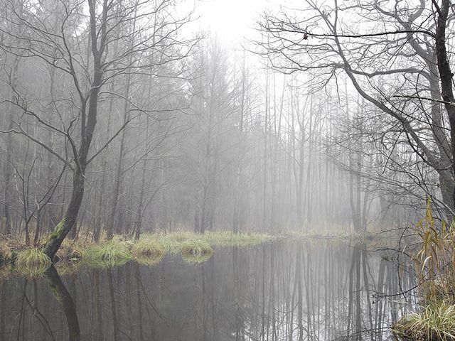 Синоптики не прогнозують глобального потепління в Україні Синоптики не прогнозують глобального потепління в Україні
