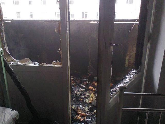 В Киеве кот спас жизнь своей владелице В Киеве кот спас жизнь своей владелице