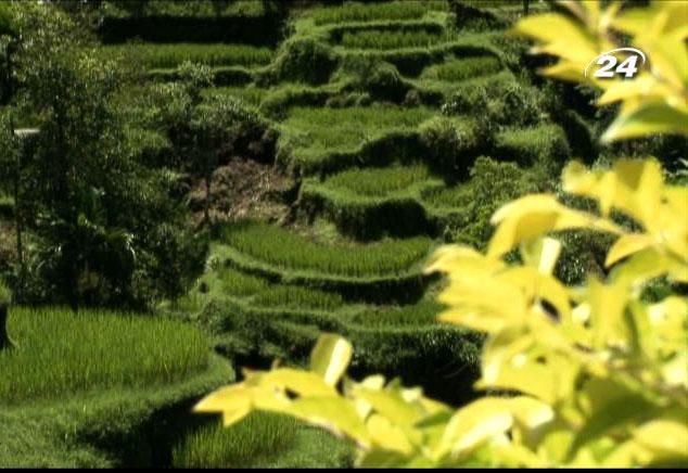 Чудеса света: загадочный Мадейра, волшебный Тайвань и мистический Бали Чудеса света: загадочный Мадейра, волшебный Тайвань и мистический Бали