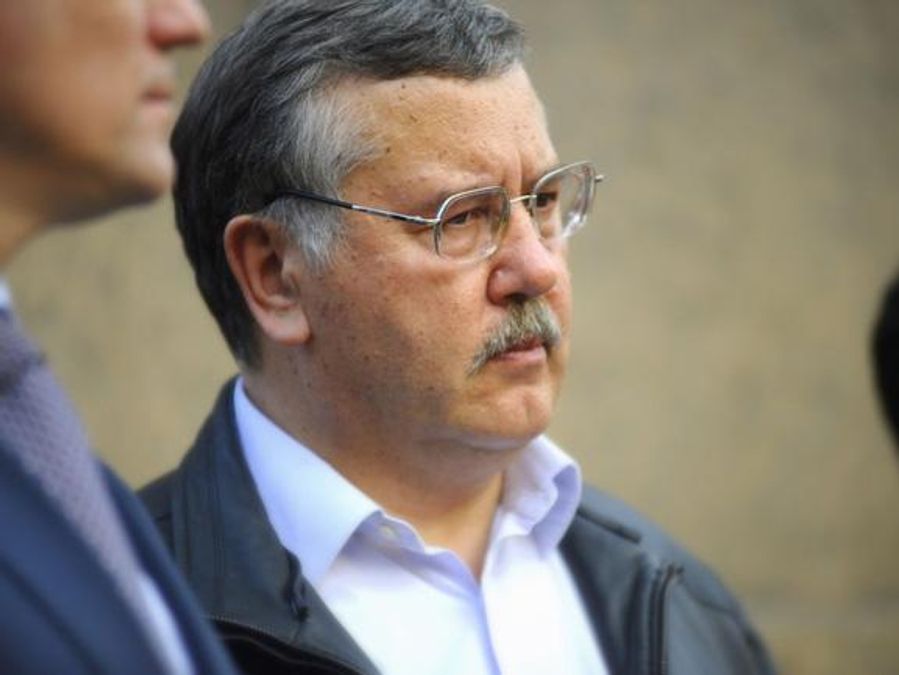 События на Грушевского спровоцировали лидеры оппозиции, - Гриценко События на Грушевского спровоцировали лидеры оппозиции, - Гриценко