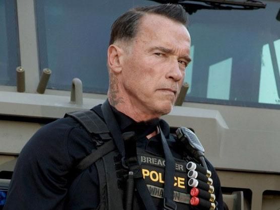 Шварценеггер поддержал Кличко и украинцев на Майдане Шварценеггер поддержал Кличко и украинцев на Майдане