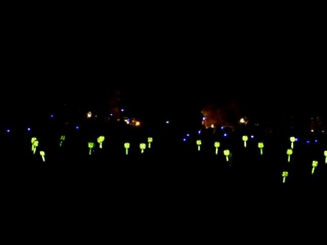 В Одесі створили живий жовто-блакитний ланцюг (Відео) В Одесі створили живий жовто-блакитний ланцюг (Відео)