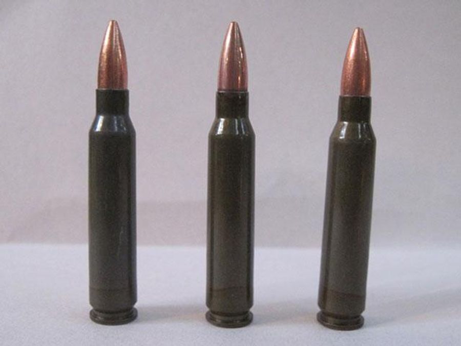 4 человека в Киеве погибли от охотничьих патронов, а не от оружия МВД, - прокуратура