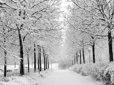 Сегодня по всей Украине сохранится низкая температура Сегодня по всей Украине сохранится низкая температура