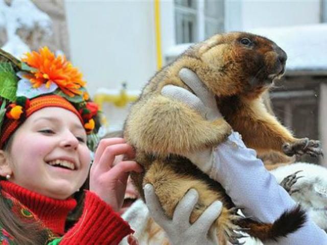 Харьковский сурок Тимка "предсказал" затяжную зиму