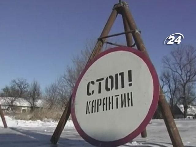 На Луганщине объявили чрезвычайную ситуацию из-за африканской чумы