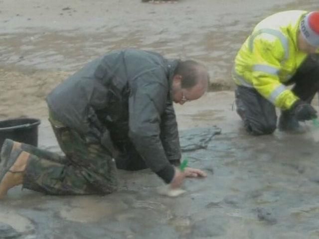 Вчені знайшли на березі Північного моря сліди предків людини