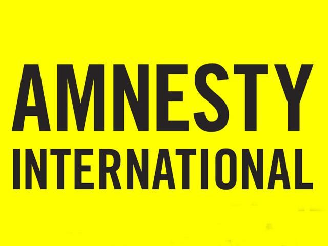 Amnesty International збирається тиснути на уряд України через безкарність міліції