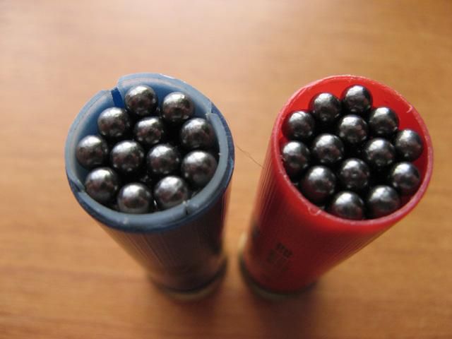 В кременчугского судью стреляли из дробовика, - СМИ В кременчугского судью стреляли из дробовика, - СМИ