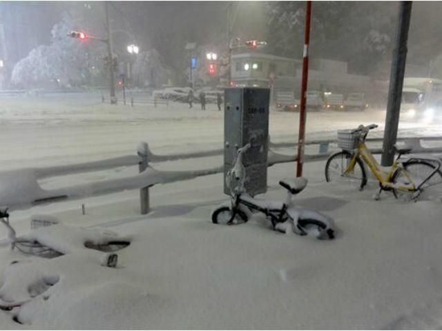 Японию накрыла снежная буря. От непогоды погибли 3 человека