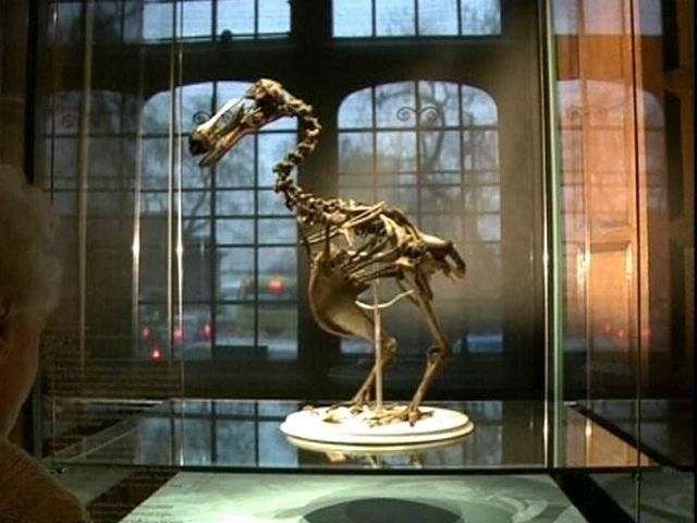 В Лондоне проходит выставка "Открытие: искусство, наука и исследования" В Лондоне проходит выставка "Открытие: искусство, наука и исследования"