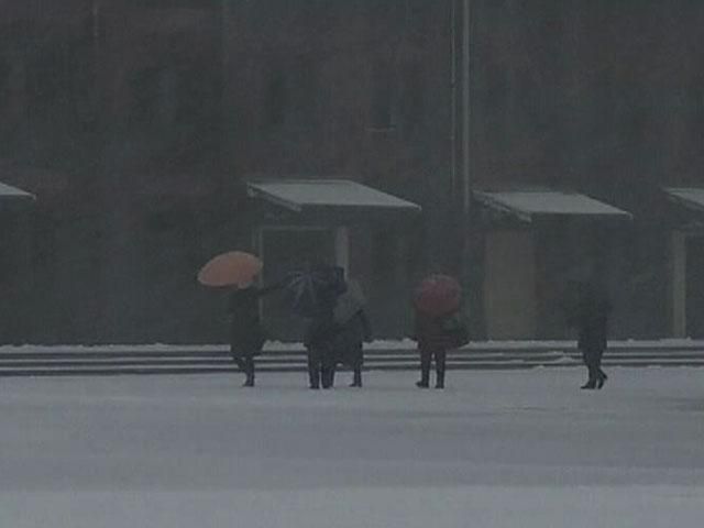 Более 10 человек погибли в результате снегопадов в Японии Более 10 человек погибли в результате снегопадов в Японии