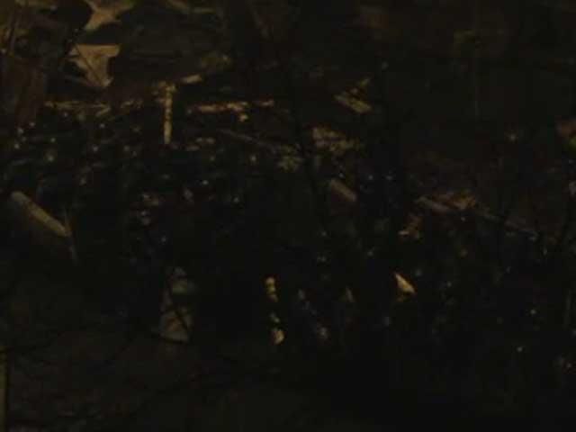 На Майдане ротация силовиков На Майдане ротация силовиков