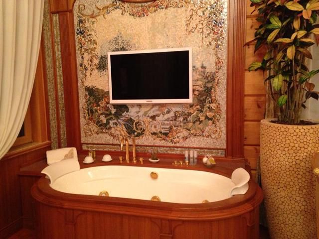 Тайны Януковича: позолоченный душ и ванная комната с плазменным телевизором (Фото)
