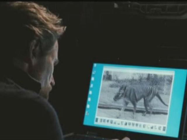 “Мисливець” — пошуки тасманійського тигра продовжуються “Мисливець” — пошуки тасманійського тигра продовжуються