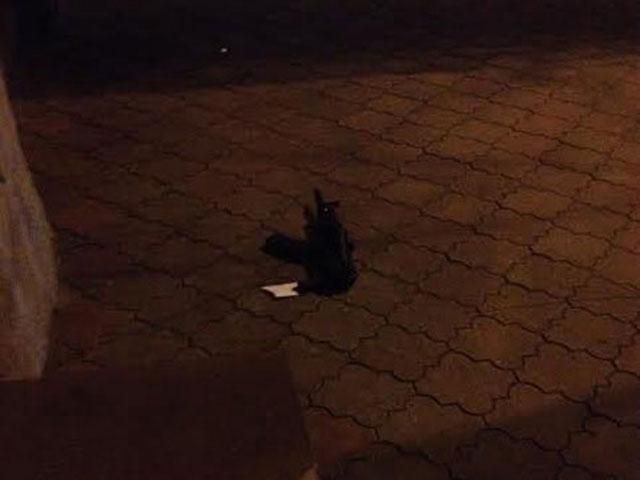 У харківському ресторані вбили двох людей, — ЗМІ У харківському ресторані вбили двох людей, — ЗМІ