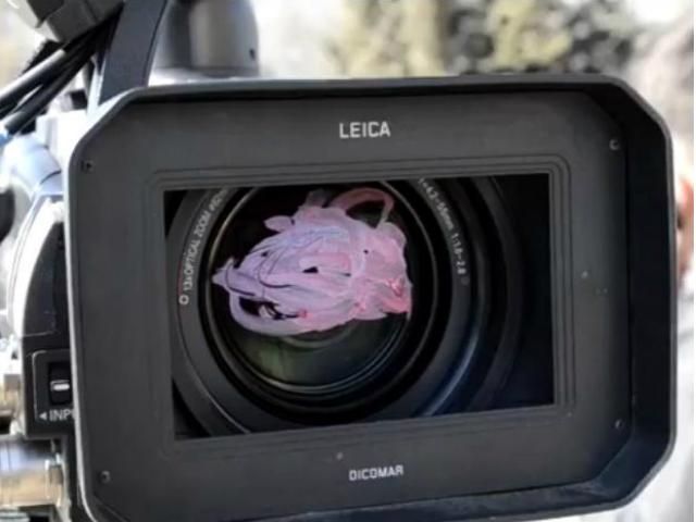 Луганські проросійські активісти вигнали журналістів з мітингу (Відео) Луганські проросійські активісти вигнали журналістів з мітингу (Відео)