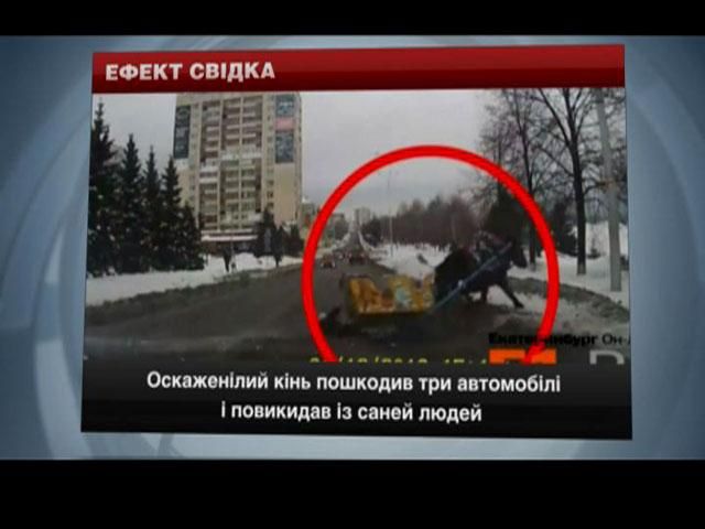 Курйози на дорогах Росії: відкритий люк та оскаженілий кінь спричинили аварії