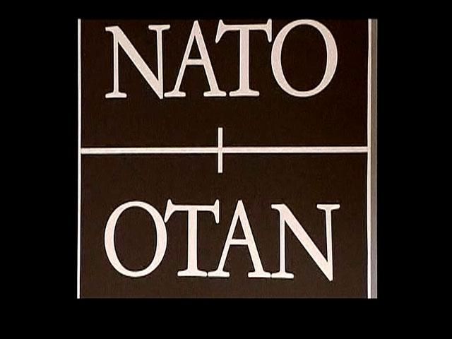 НАТО негайно відреагує на прохання Києва про допомогу, — заява НАТО негайно відреагує на прохання Києва про допомогу, — заява