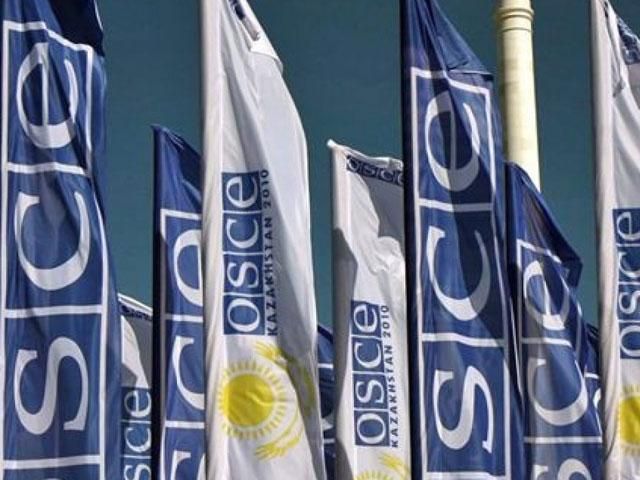 ОБСЕ не будет наблюдать за референдумом в Крыму, - Бертон