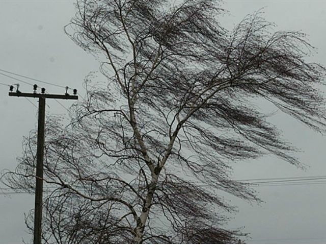 223 населенных пункта в 9 областях обесточены из-за непогоды 223 населенных пункта в 9 областях обесточены из-за непогоды