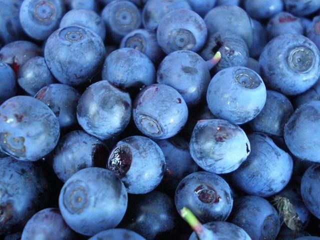 Лікарі радять Чорничну пасту для зниження рівня цукру в крові Лікарі радять Чорничну пасту для зниження рівня цукру в крові