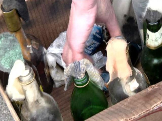 Правый Сектор Киевщины передал оружие Нацгвардии для учений Правый Сектор Киевщины передал оружие Нацгвардии для учений