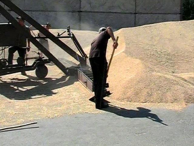 На "зернове ПДВ" претендуватимуть тільки сільгоспвиробники На "зернове ПДВ" претендуватимуть тільки сільгоспвиробники