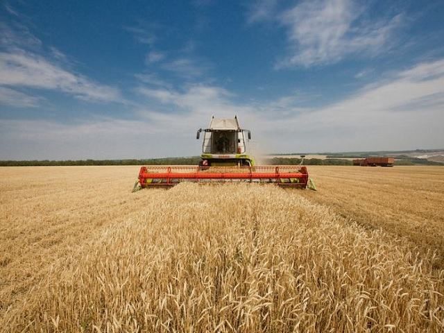 Українські аграрії зможуть виручити $2,2 млрд. через збільшення експорту до ЄС