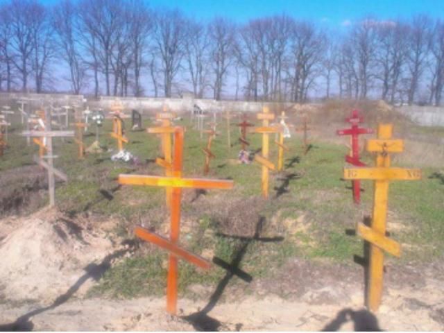 Біля Києва знайшли десятки підозрілих безіменних могил (Фото) 