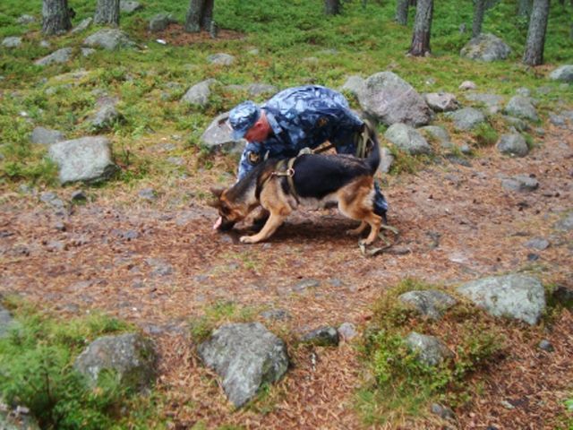 В Черкасской области в лесу нашли мертвого Автомайдановца В Черкасской области в лесу нашли мертвого Автомайдановца
