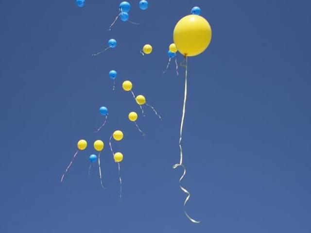 На Луганщине подрались сепаратисты и украинские активисты, 6 пострадавших На Луганщине подрались сепаратисты и украинские активисты, 6 пострадавших