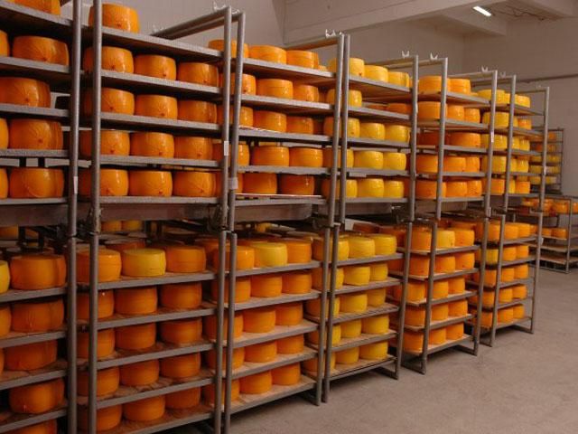 Казахстан заборонив ввезення українських сирів
