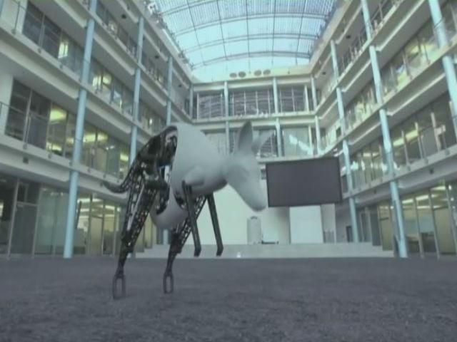 Новации недели. Windows для авто, Nokia X в Украине и робот-кенгуру Новации недели. Windows для авто, Nokia X в Украине и робот-кенгуру