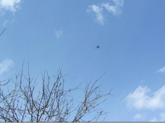 Над Запоріжжям — винищувачі українських ВПС, — очевидці Над Запоріжжям — винищувачі українських ВПС, — очевидці