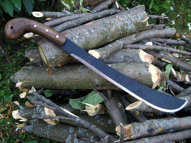 На межі Херсонщини і Криму прикордонники затримали невідомих із мачете На межі Херсонщини і Криму прикордонники затримали невідомих із мачете