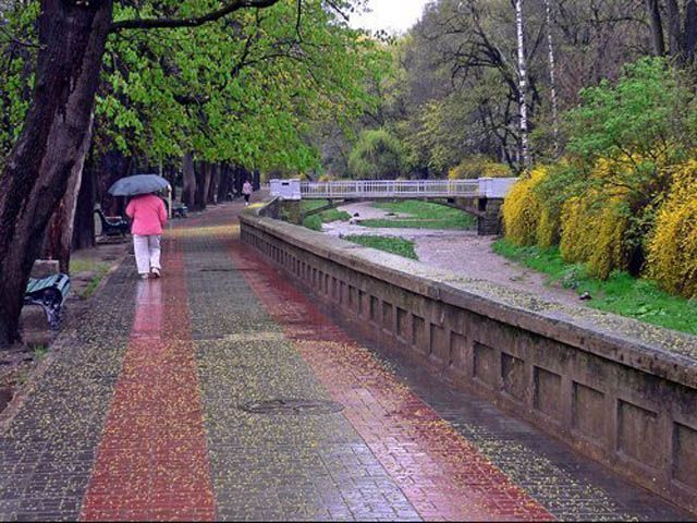 В Украине продолжатся дожди и грозы В Украине продолжатся дожди и грозы