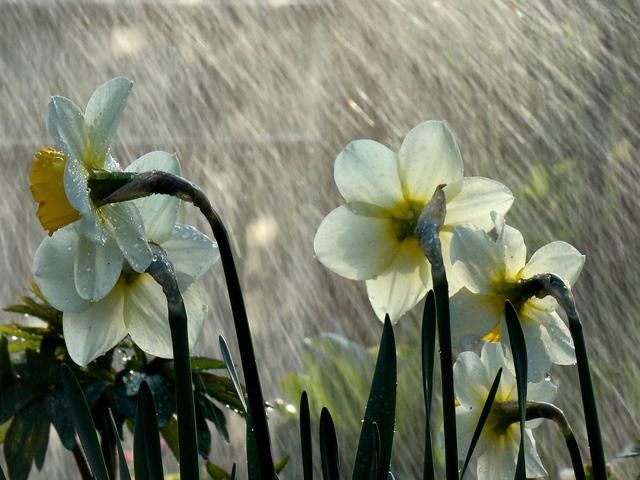 Вже від завтра в Україні суттєво знизиться температура Вже від завтра в Україні суттєво знизиться температура