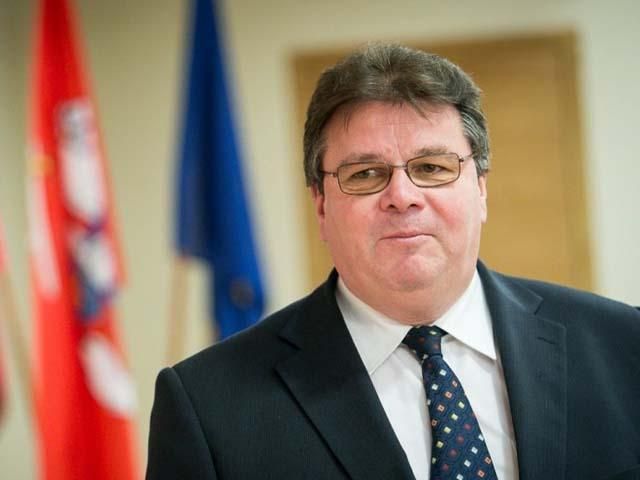 Україна зобов’язана використовувати силу проти сепаратистів для захисту території, — МЗС Литви Україна зобов’язана використовувати силу проти сепаратистів для захисту території, — МЗС Литви