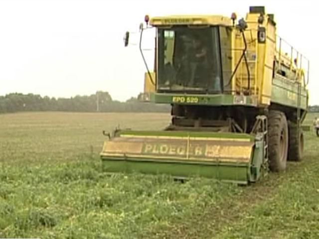 Специальный режим налогообложения в агросекторе будет действовать до 2016 года Специальный режим налогообложения в агросекторе будет действовать до 2016 года