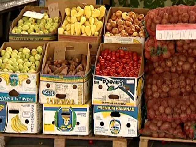 Через похолодання може постраждати врожай овочів Через похолодання може постраждати врожай овочів