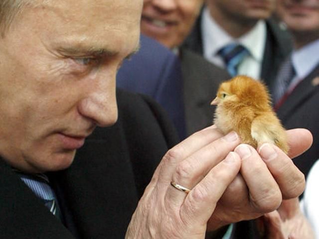 Путин одобрил выборы президента Украины