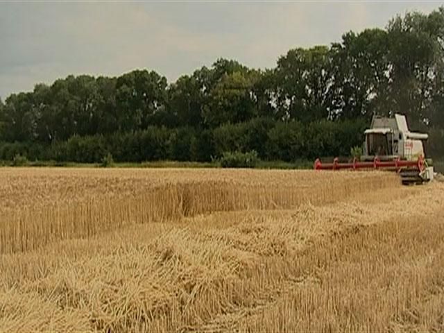 Україна може щорічно збирати 80-100 мільйон тонн зернових, – Швайка