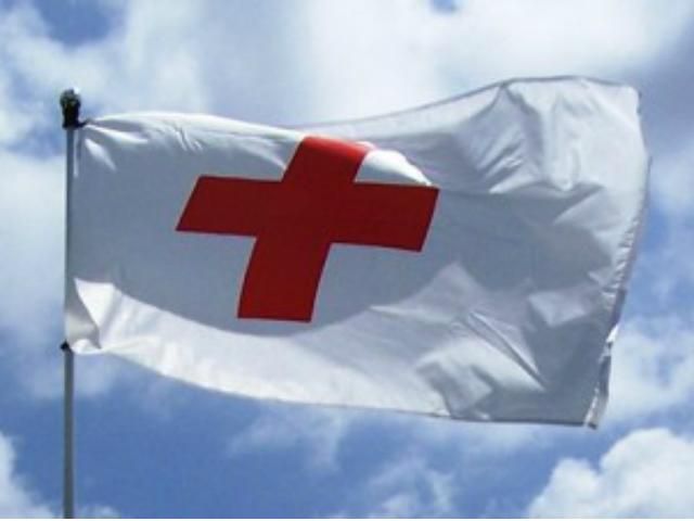 Сепаратисты отпустили сотрудников Красного креста. Одного из них сильно избили Сепаратисты отпустили сотрудников Красного креста. Одного из них сильно избили