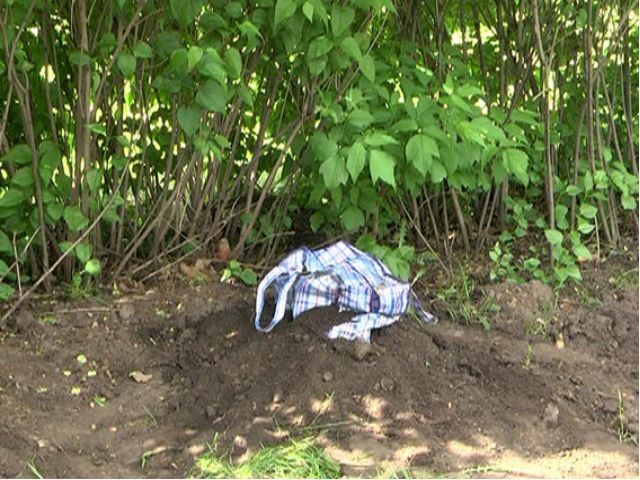 В центре Харькова нашли сумку с "коктейлями Молотова" (Фото) В центре Харькова нашли сумку с "коктейлями Молотова" (Фото)