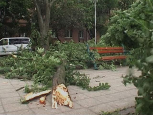 На Закарпатті буревій знеструмив понад два десятки населених пунктів На Закарпатті буревій знеструмив понад два десятки населених пунктів