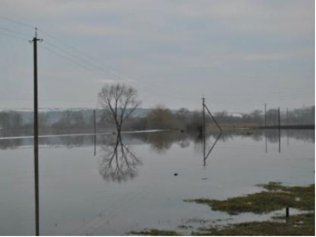 Во Львовской и Черновицкой областях перекрыли движение из-за поднятия уровня воды в реках