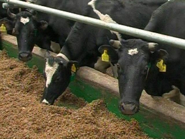 Україна отримає півроку безмитного експорту в Європу Україна отримає півроку безмитного експорту в Європу