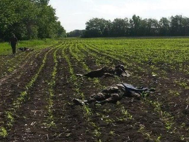 Расстрелянная Волноваха: убили 8 украинских военных (Фото)